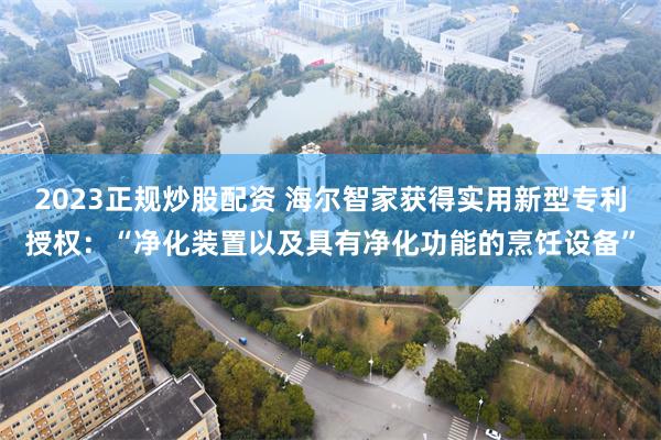 2023正规炒股配资 海尔智家获得实用新型专利授权：“净化装置以及具有净化功能的烹饪设备”