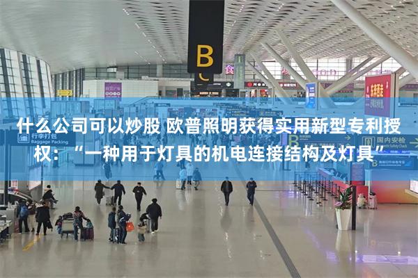 什么公司可以炒股 欧普照明获得实用新型专利授权：“一种用于灯具的机电连接结构及灯具”