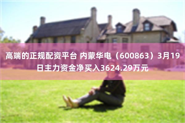 高端的正规配资平台 内蒙华电（600863）3月19日主力资金净买入3624.29万元