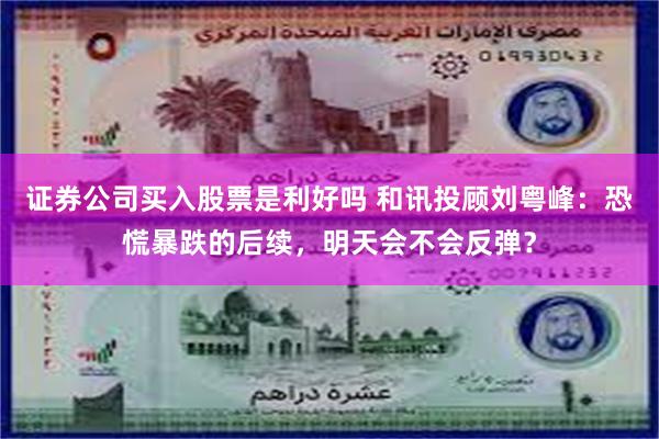 证券公司买入股票是利好吗 和讯投顾刘粤峰：恐慌暴跌的后续，明天会不会反弹？