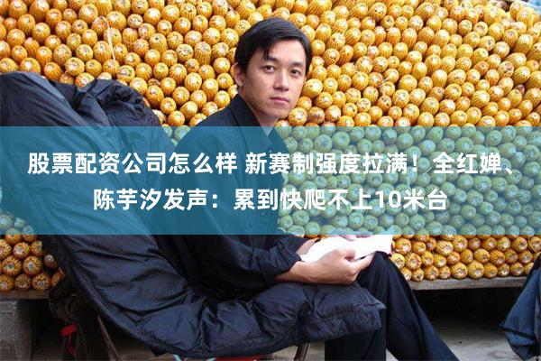 股票配资公司怎么样 新赛制强度拉满！全红婵、陈芋汐发声：累到快爬不上10米台