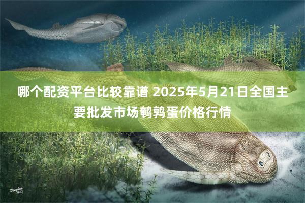 哪个配资平台比较靠谱 2025年5月21日全国主要批发市场鹌鹑蛋价格行情