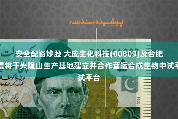 安全配资炒股 大成生化科技(00809)及合肥和晨将于兴隆山生产基地建立并合作营运合成生物中试平台