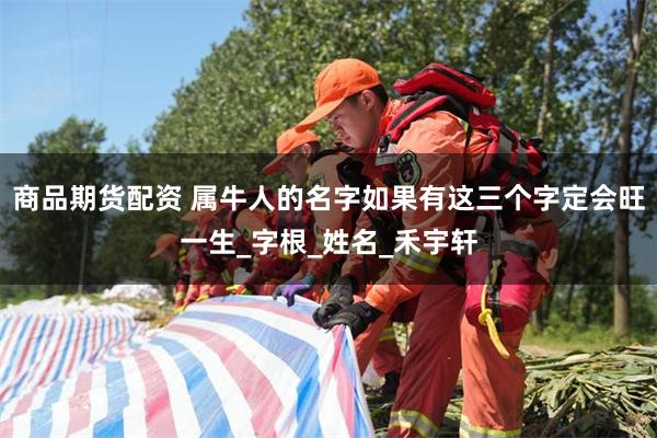 商品期货配资 属牛人的名字如果有这三个字定会旺一生_字根_姓名_禾宇轩