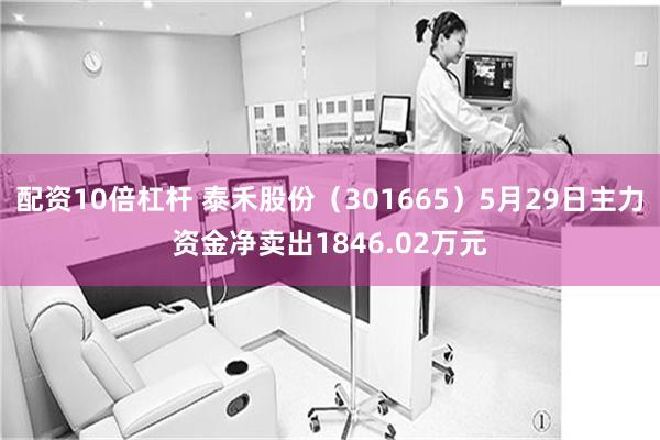 配资10倍杠杆 泰禾股份（301665）5月29日主力资金净卖出1846.02万元