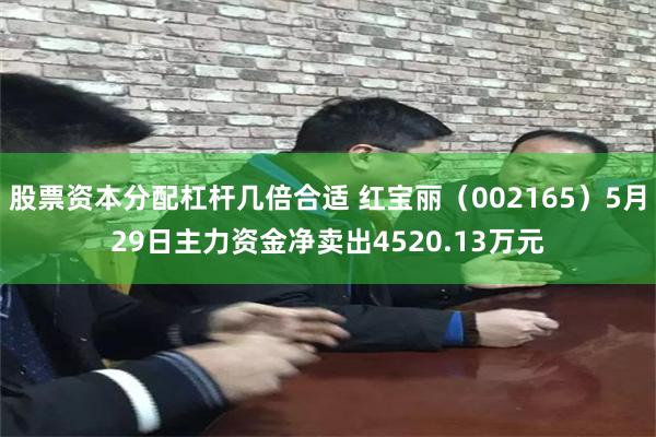股票资本分配杠杆几倍合适 红宝丽（002165）5月29日主力资金净卖出4520.13万元