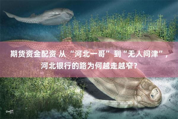 期货资金配资 从 “河北一哥” 到“无人问津”，河北银行的路为何越走越窄？