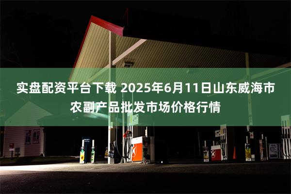 实盘配资平台下载 2025年6月11日山东威海市农副产品批发市场价格行情