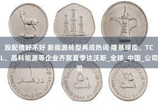 股配债好不好 新能源转型再成热词 隆基绿能、TCL、晶科能源等企业齐聚夏季达沃斯_全球_中国_公司