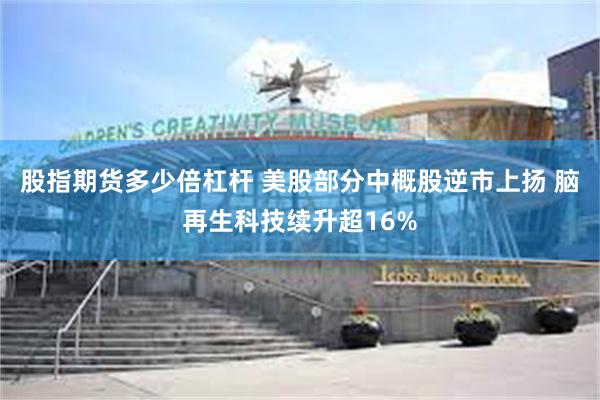 股指期货多少倍杠杆 美股部分中概股逆市上扬 脑再生科技续升超16%